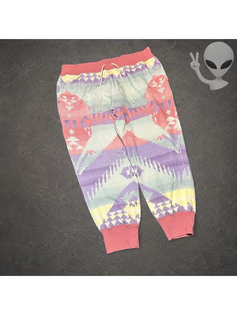 Polo Ralph Lauren Southwestern Rose Serape Joggers Sweatpants Women's Size XL